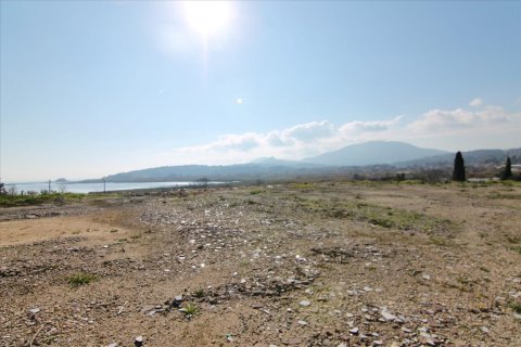 4050m² Land en Corfu, Greece No. 58332 9