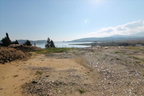 4050m² Land en Corfu, Greece No. 58332 11