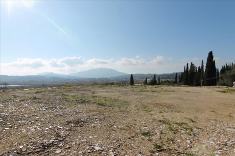 4050m² Land in Corfu, Greece No. 58332 8