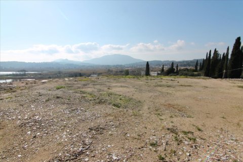 4050m² Land à Corfu, Greece No. 58332 7