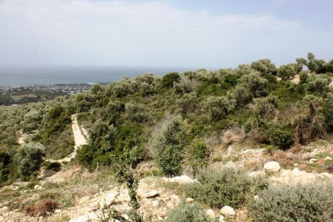 27000m² Land en Rethymno, Greece No. 58220 5