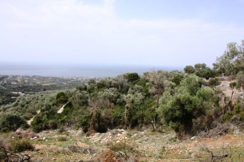 27000m² Land en Rethymno, Greece No. 58220 4