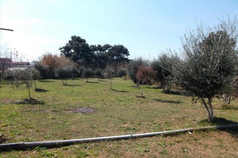 2768m² Land à Marousi, Greece No. 58870 1