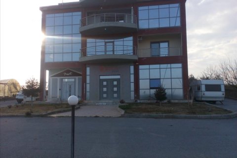 1650m² Business in Pieria, Greece No. 58867 2