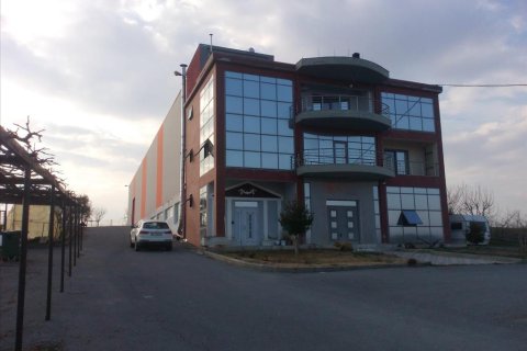 1650m² Business in Pieria, Greece No. 58867 1