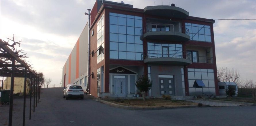 1650m² Business in Pieria, Greece No. 58867