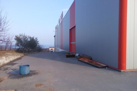 1650m² Business in Pieria, Greece No. 58867 3