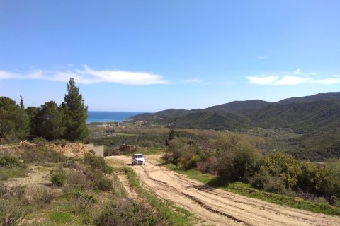 13500m² Land à Chalkidiki, Greece No. 58212 4