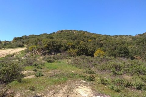 13500m² Land en Chalkidiki, Greece No. 58212 2