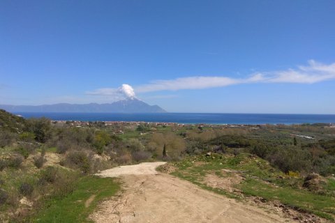 13500m² Land in Chalkidiki, Greece No. 58212 1