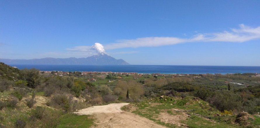 13500m² Land en Chalkidiki, Greece No. 58212