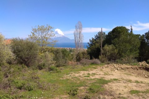 13500m² Land in Chalkidiki, Greece No. 58212 3