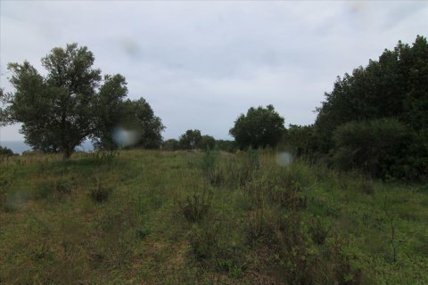 205000m² Land in Corfu, Greece No. 58216 21