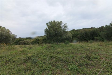 205000m² Land en Corfu, Greece No. 58216 24