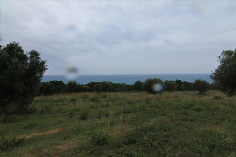 205000m² Land en Corfu, Greece No. 58216 23