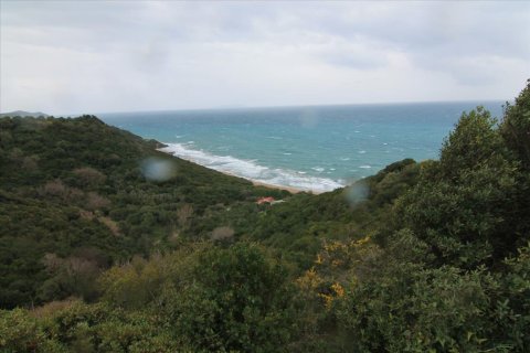 205000m² Land in Corfu, Greece No. 58216 2