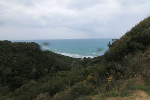 205000m² Land en Corfu, Greece No. 58216 19