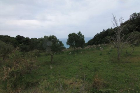 205000m² Land à Corfu, Greece No. 58216 14