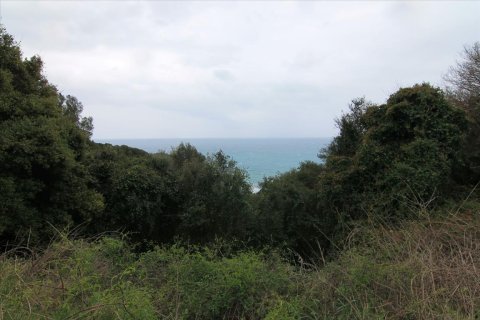 205000m² Land in Corfu, Greece No. 58216 16