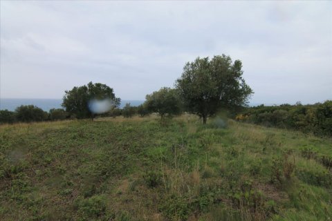 205000m² Land in Corfu, Greece No. 58216 22