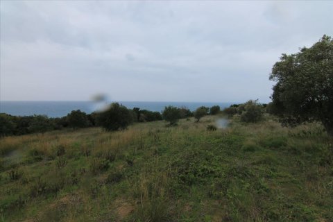 205000m² Land à Corfu, Greece No. 58216 25