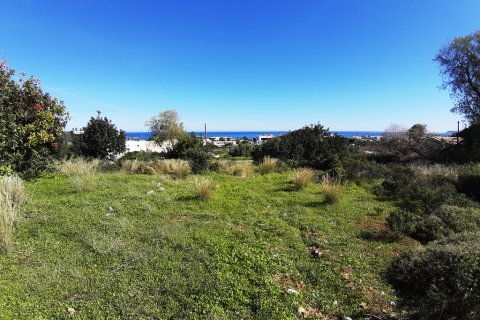 14000m² Land in Malia, Greece No. 56592 1