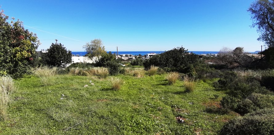 14000m² Land in Malia, Greece No. 56592