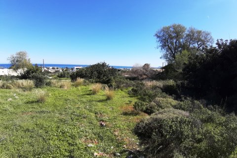 14000m² Land in Malia, Greece No. 56592 7