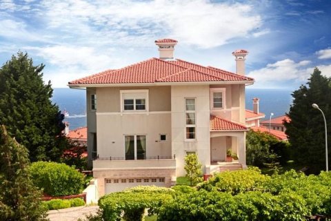 5 bedrooms Villa in Istanbul, Turkey No. 12048 2