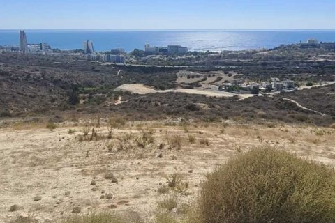 12741m² Land in Agios Tychonas, Cyprus No. 71770 2