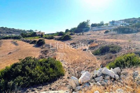 15051m² Land à Pyrgos, Cyprus No. 41809 2