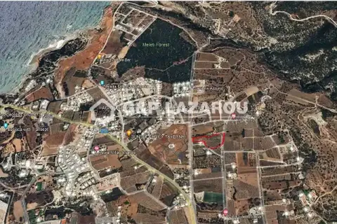 9195m² Land à Pegeia, Cyprus No. 41812 1