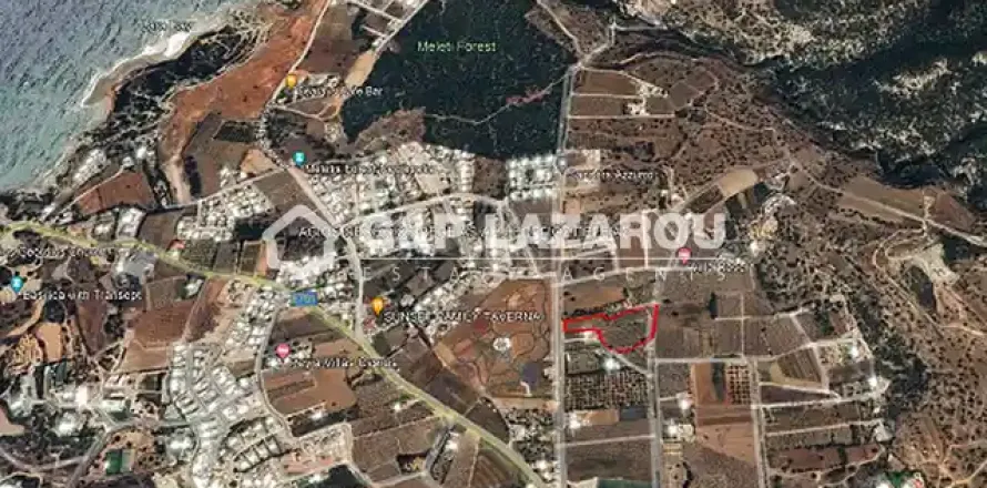 9195m² Land in Pegeia, Cyprus No. 41812