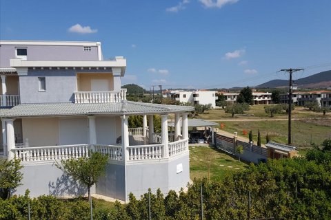 650m² Hotel à Polygyros, Greece No. 59828 4