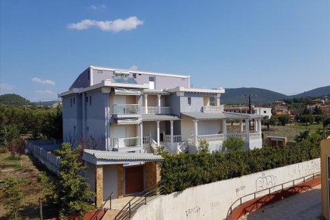 650m² Hotel en Polygyros, Greece No. 59828 2