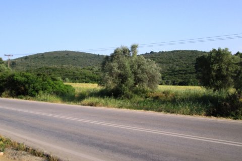 12000m² Land in Polygyros, Greece No. 59685 2