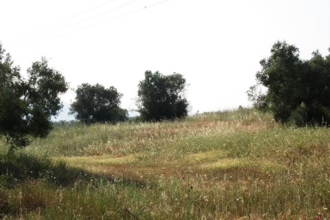 12000m² Land in Polygyros, Greece No. 59685 5