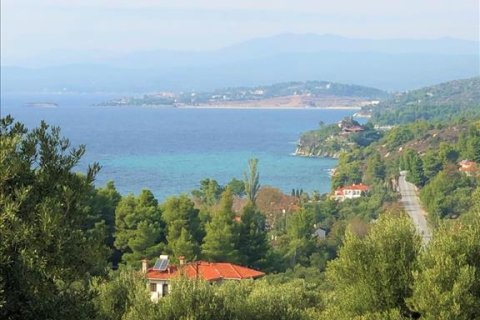 4078m² Land à Chalkidiki, Greece No. 56423 3