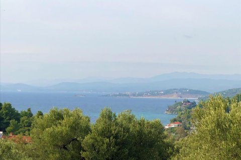 4078m² Land en Chalkidiki, Greece No. 56423 1