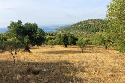 4078m² Land à Chalkidiki, Greece No. 56423 2