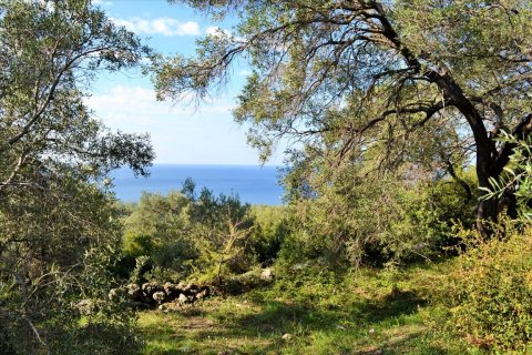 7606m² Land in Corfu, Greece No. 56415 2