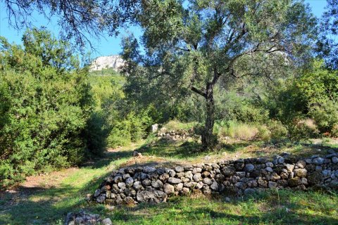 7606m² Land en Corfu, Greece No. 56415 27