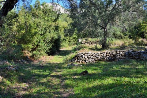 7606m² Land en Corfu, Greece No. 56415 8