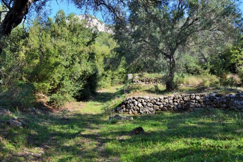 7606m² Land in Corfu, Greece No. 56415 9