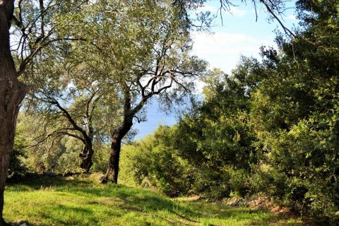 7606m² Land in Corfu, Greece No. 56415 14