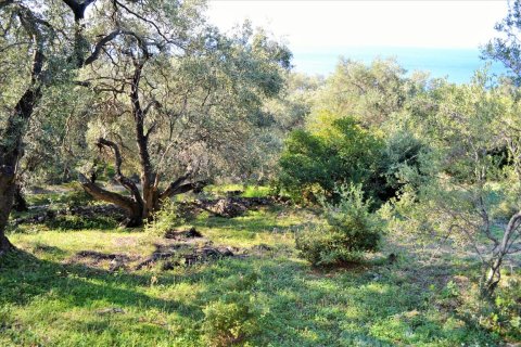 7606m² Land à Corfu, Greece No. 56415 20