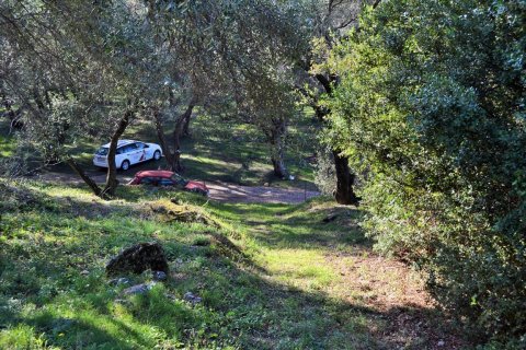 7606m² Land in Corfu, Greece No. 56415 11