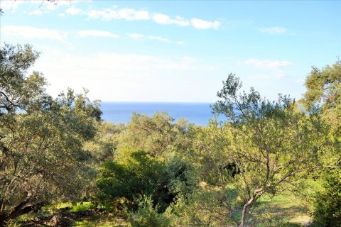 7606m² Land à Corfu, Greece No. 56415 19