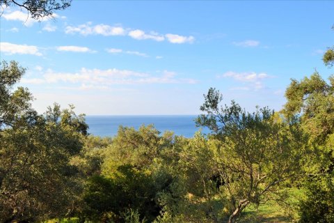 7606m² Land en Corfu, Greece No. 56415 3