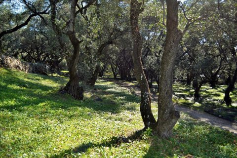 7606m² Land à Corfu, Greece No. 56415 10